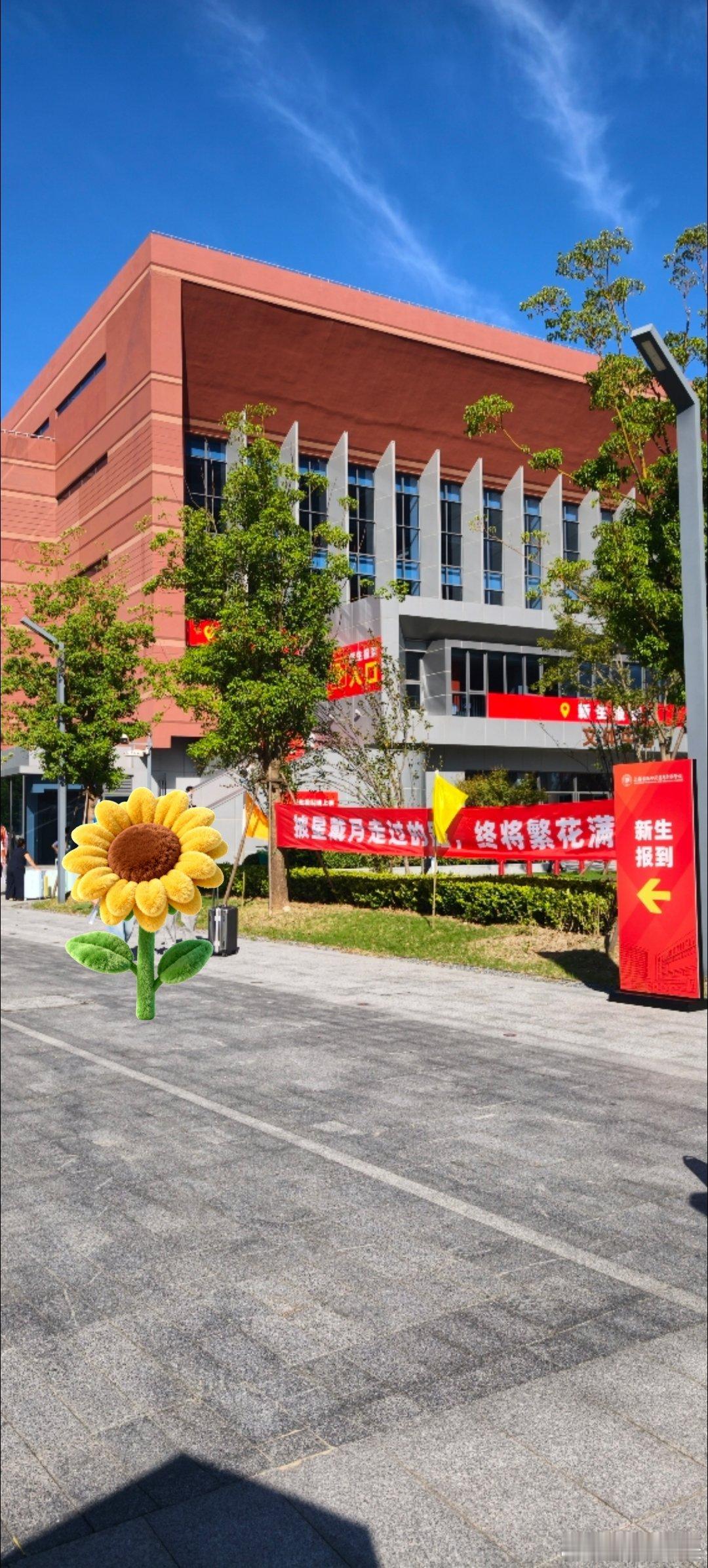 快乐的时候要尽情快乐不快乐的时候也得努力快乐​​​