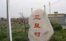 1985年，位于江苏省常州市金坛区西岗镇三星村的竹子，一夜之间全部开花，村民们慌