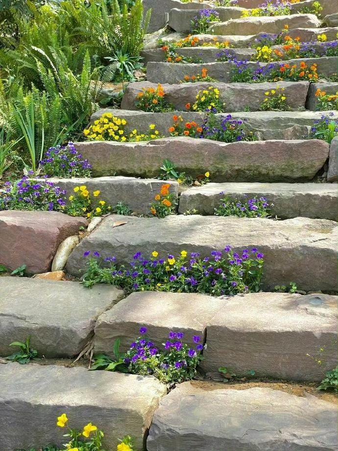 痔疮手术后第十天，为了排便吃泻药让我又遭受拉肚子的痛苦昨天是我痔疮手术后的第