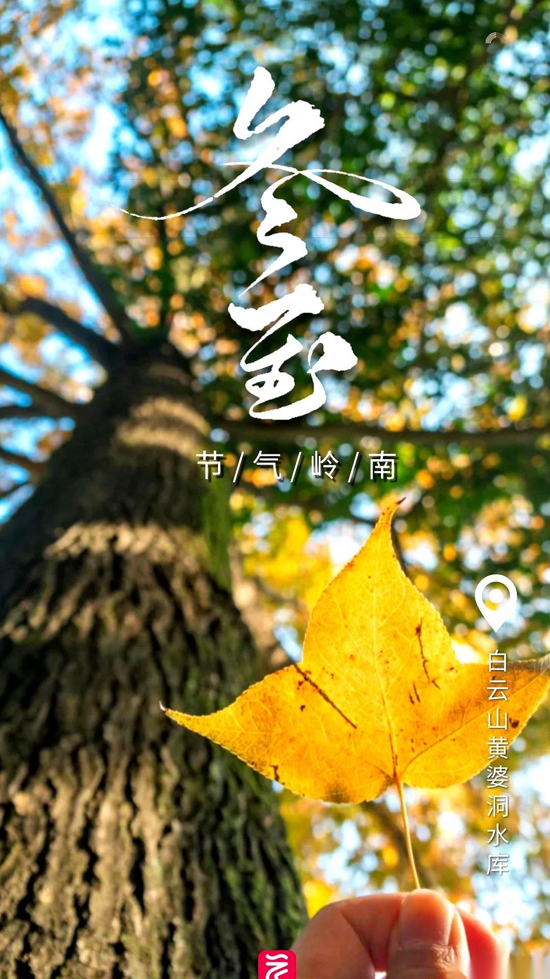 我妈一个电话打过来，劈头盖脸就一句：“吃了没？”真的，在广东，可能只有冬至这