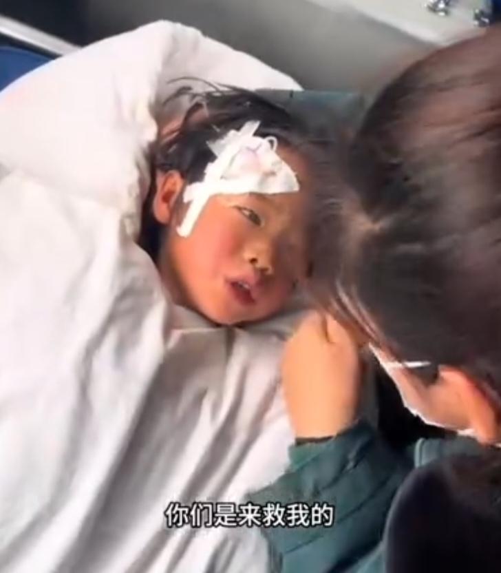 4岁女童丁一走失后受困经历及救援过程,经家属叙述与官方信息披露,引发广泛关注。据