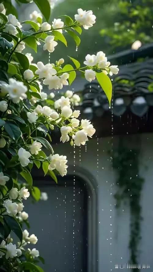 上联:望远烟云落松瘦下联:临风花雨乱春愁横批:春意盎然