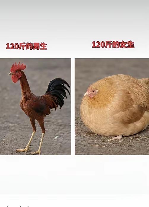 这算不算千古之谜？