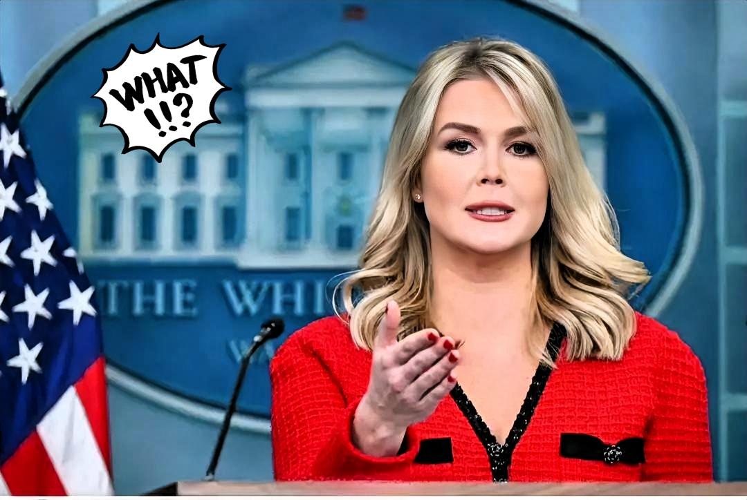 快讯！白宫最新消息！11月26日，白宫发言人莱维特通过“福克斯新闻”发表了