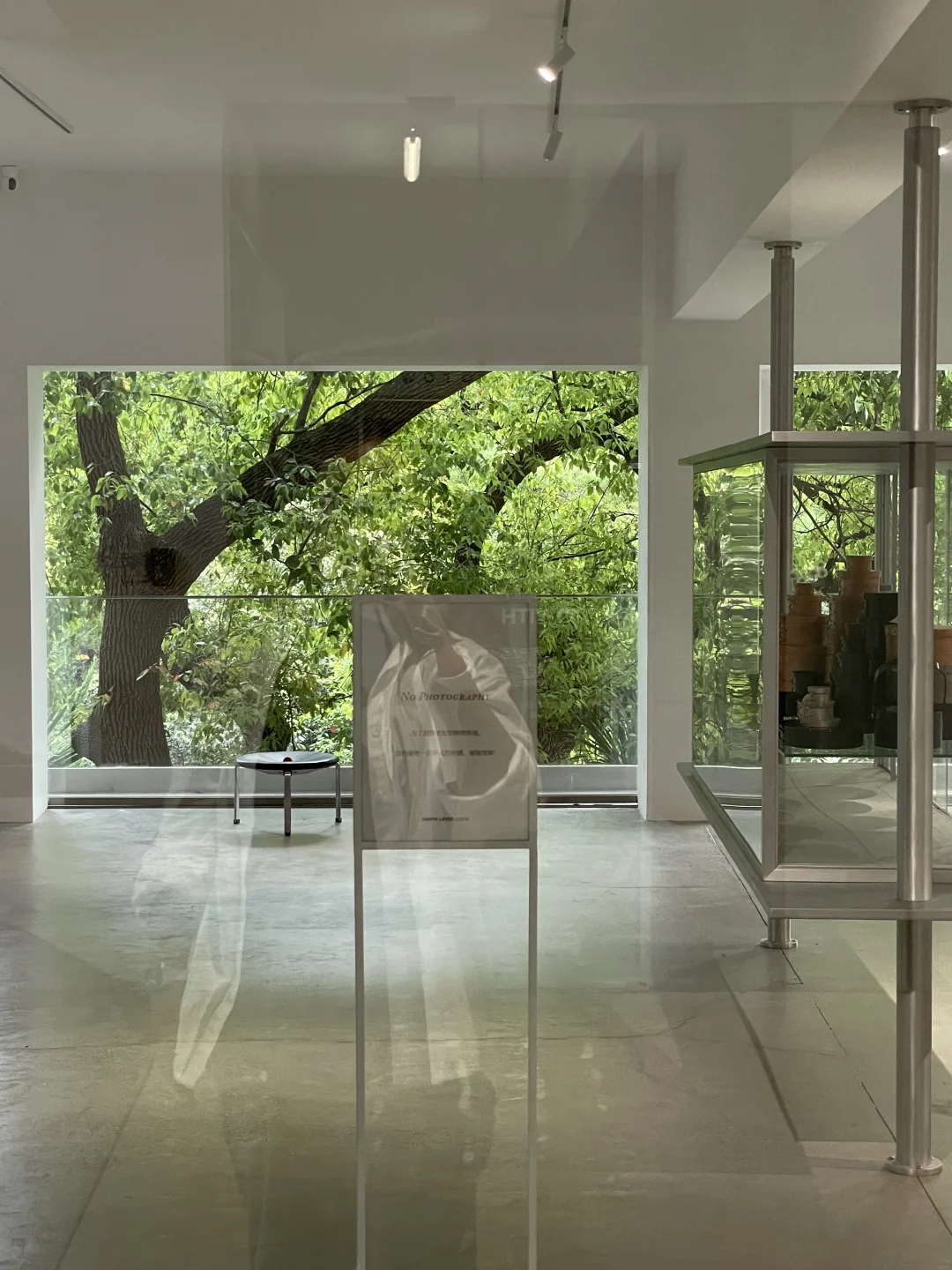 魔都一些能量场很强的地方🌿满眼绿意好治愈