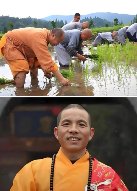 少林寺改革后太累了，和尚们集体离职，一周超30人不干了，因为印乐收了他们手机