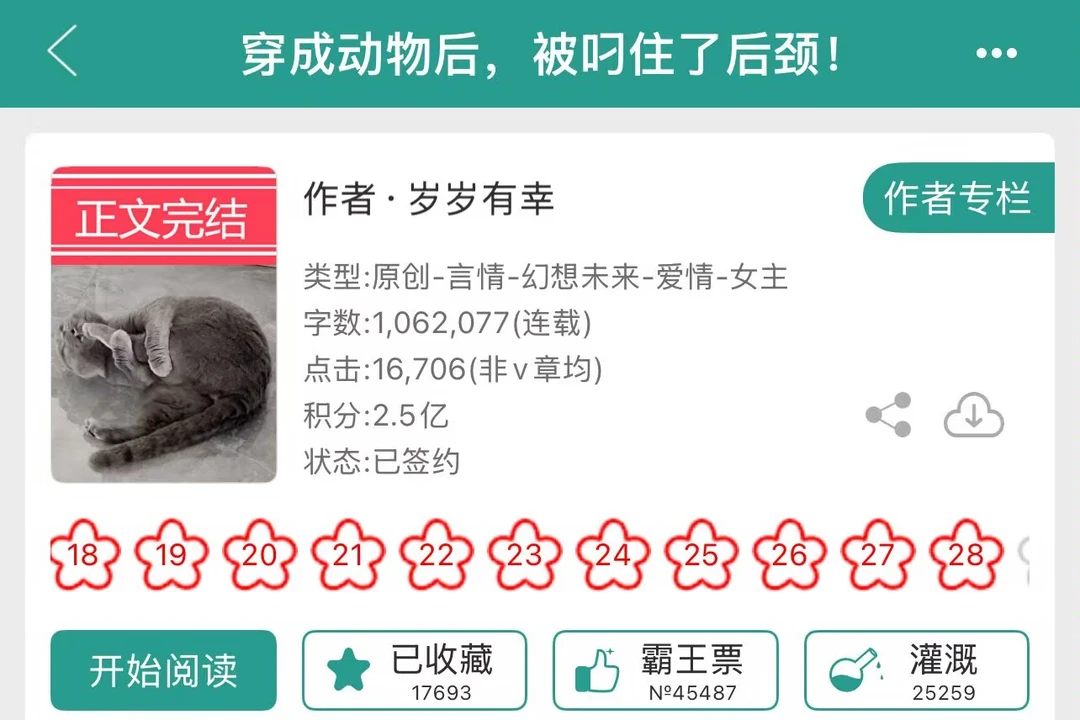 啊！作者妥妥海贼王粉丝！