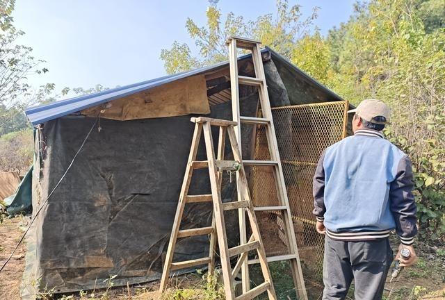 做农业9年了，承包外乡的土地。那天下午三点阳光晃眼，我正窝在书房书桌键盘上全是