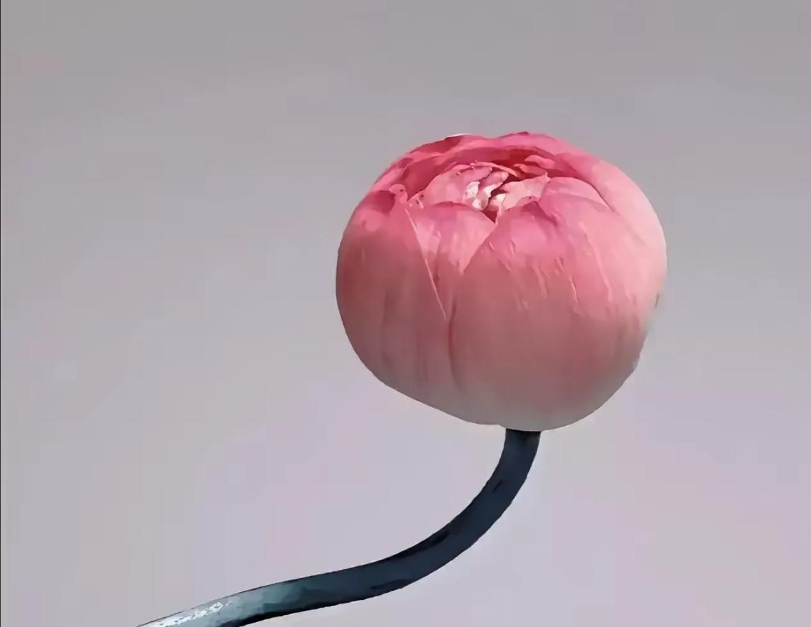 我快要疯了！我73年的，今年53岁，也不知道为什么，从50岁那年开始，我莫名其