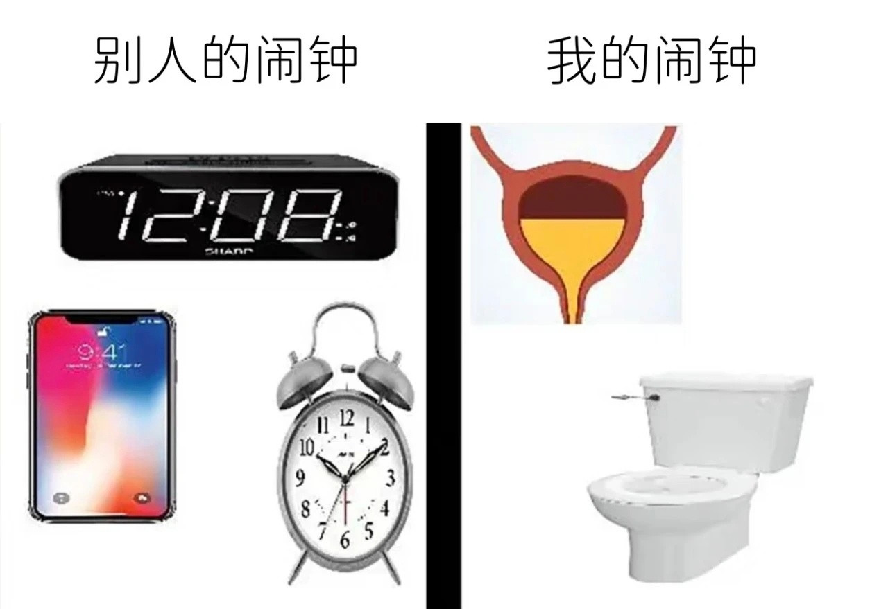 我的尿堪比生物钟meme​​​
