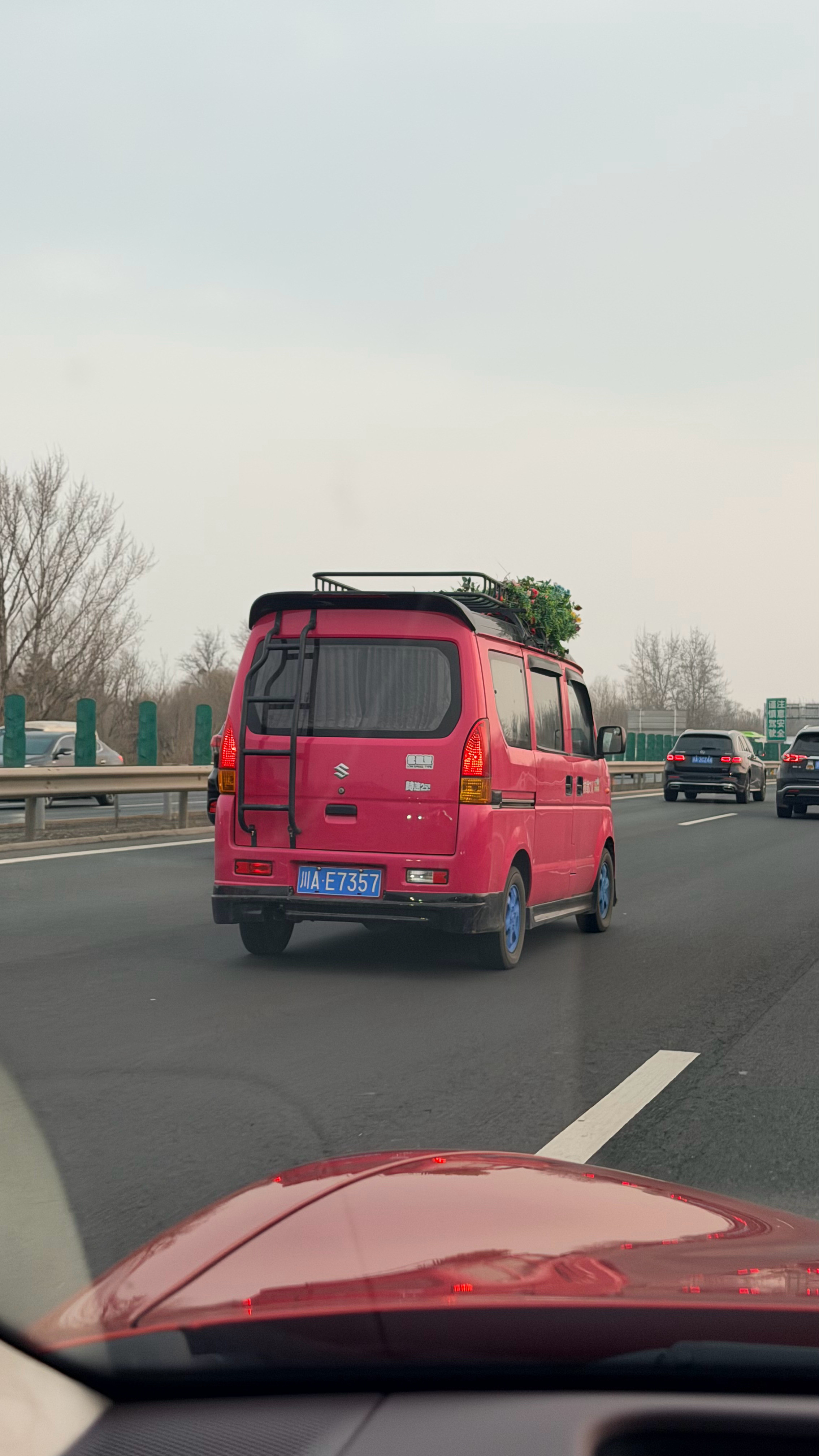 这个很有格调的小车，是不是个网红车？