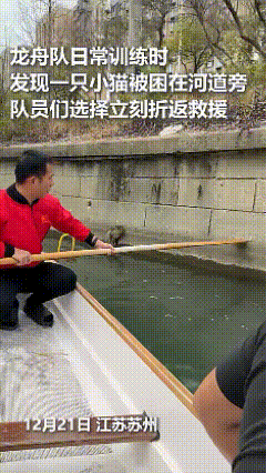 上人民日报了！江苏苏州，一只小猫意外被困在河道旁，龙舟队的队员们发现后，立即用船