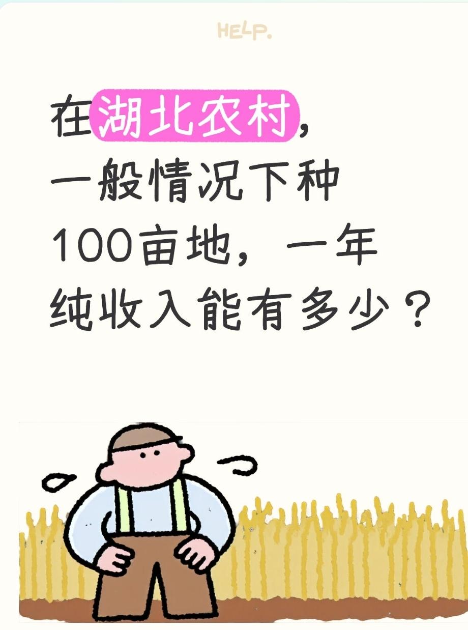 在湖北农村，一般情况下种100亩地，一年纯收入能有多少？2026年湖北农村1