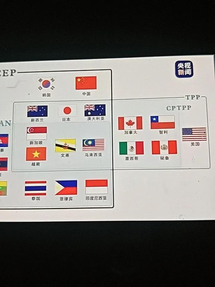 今年CPTPP正式开启大规模扩容，6月26日12个成员国开完线上部长会，一致同意