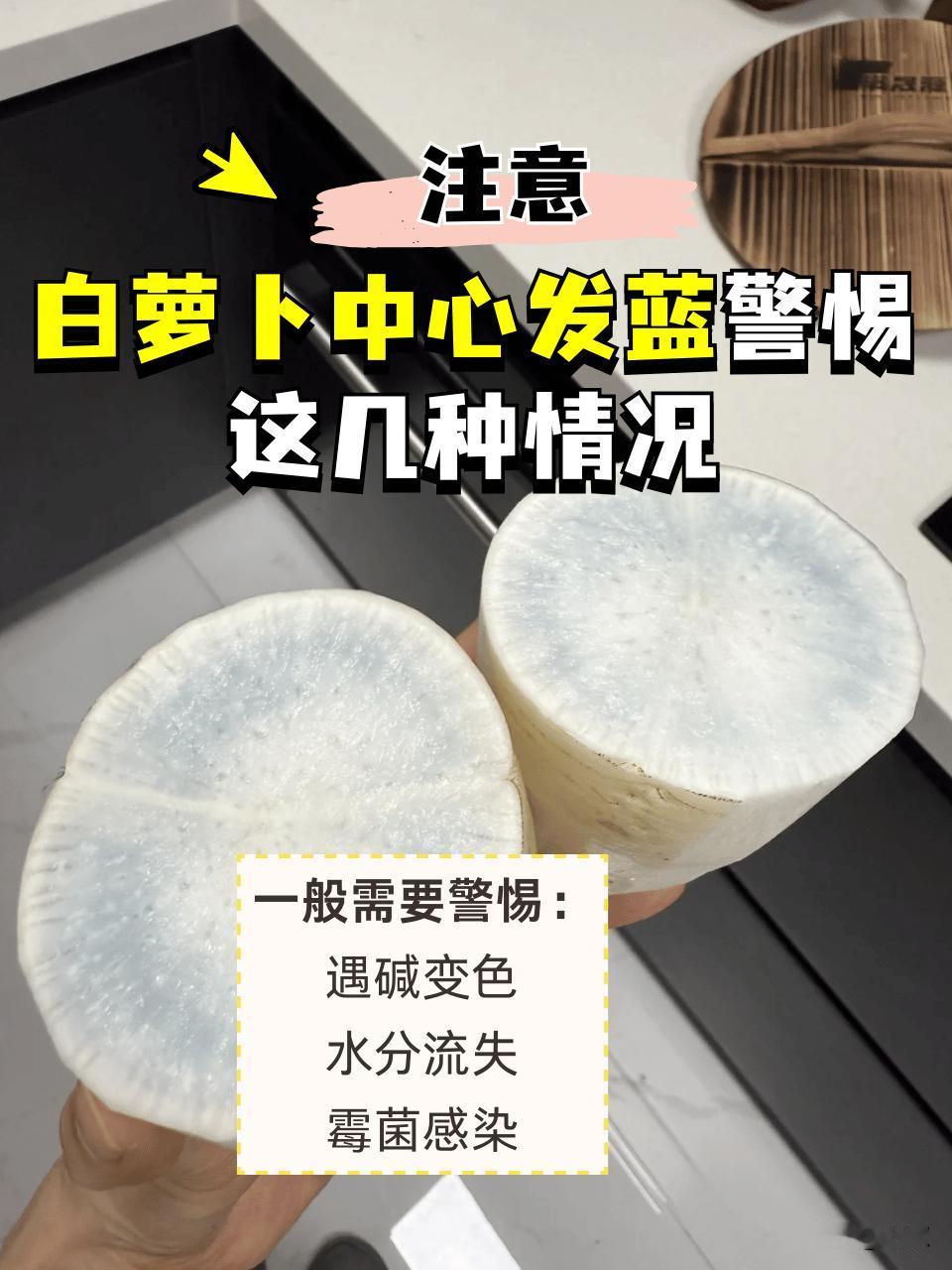 白萝卜为什么收了几天会显蓝我每年采收白萝卜，发现一个现象：刚拔出来看着白白嫩