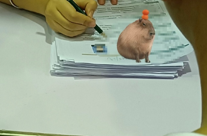 校招岗位竞争激烈具像化了