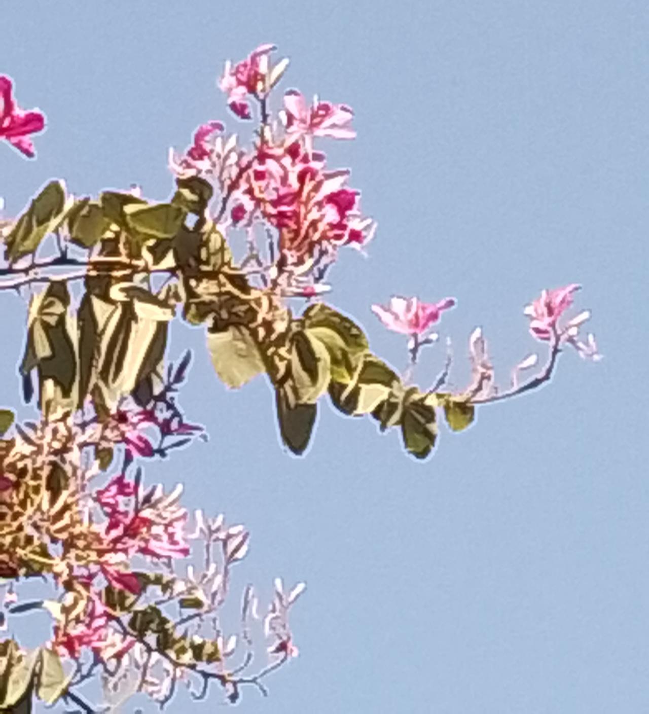 今天下午在黄埔区某小区里面，有一个老人家晕倒在地，居委会的人看到马上扶起他，用他