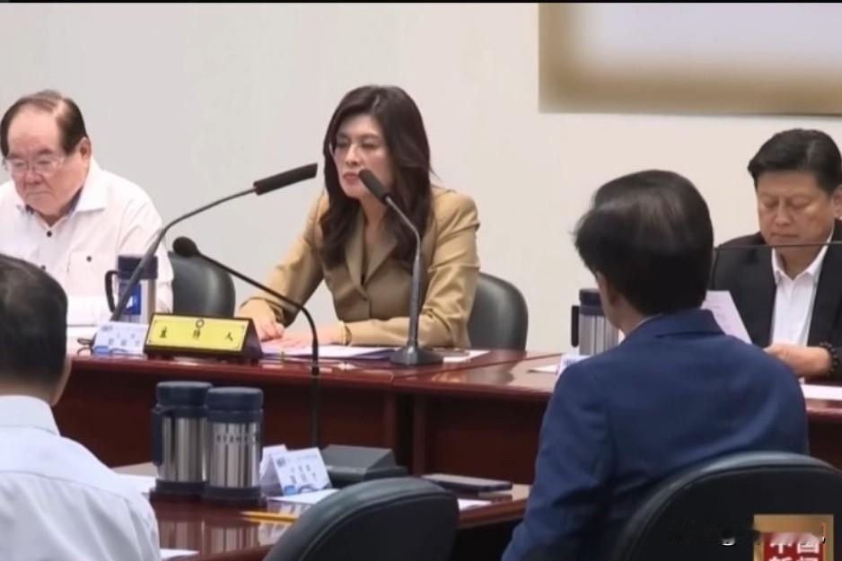 中常会放狠话，2028想拿下执政权，这话是打气还是吹牛？郑丽文在中常会上放出