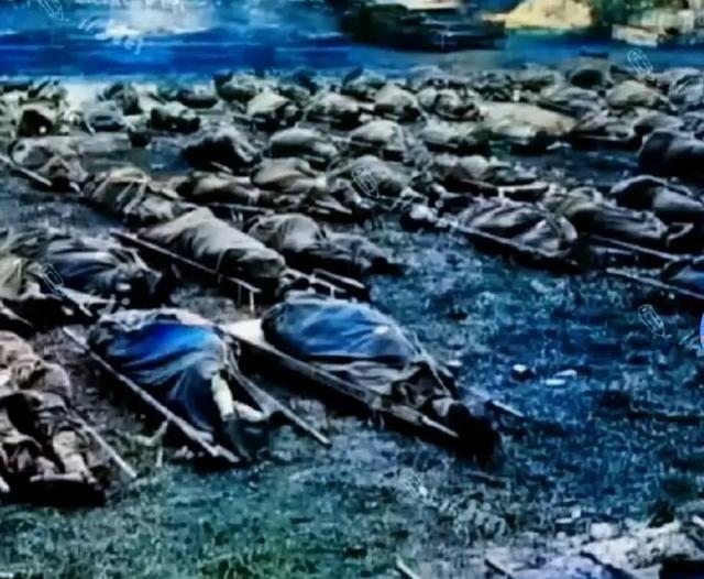 1985年1月20日，老山那拉方向打完一场恶仗。几辆红十字军车拉回29具烈士遗体