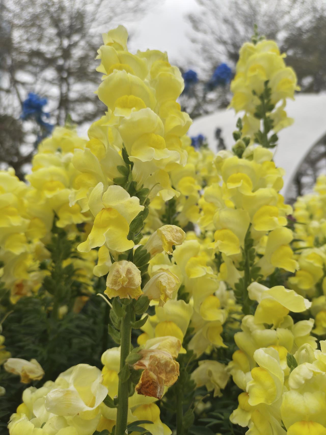 人想开了，才是真幸福为什么同样的事，有人一笑而过，有人彻夜难眠？困住