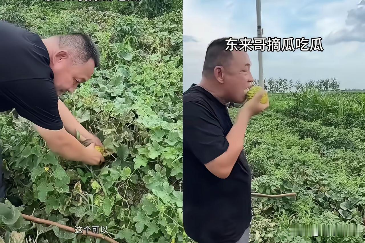 瓜农报5毛一斤，还想给优惠。于东来摆摆手，说给1块。定5000斤，运费还全包