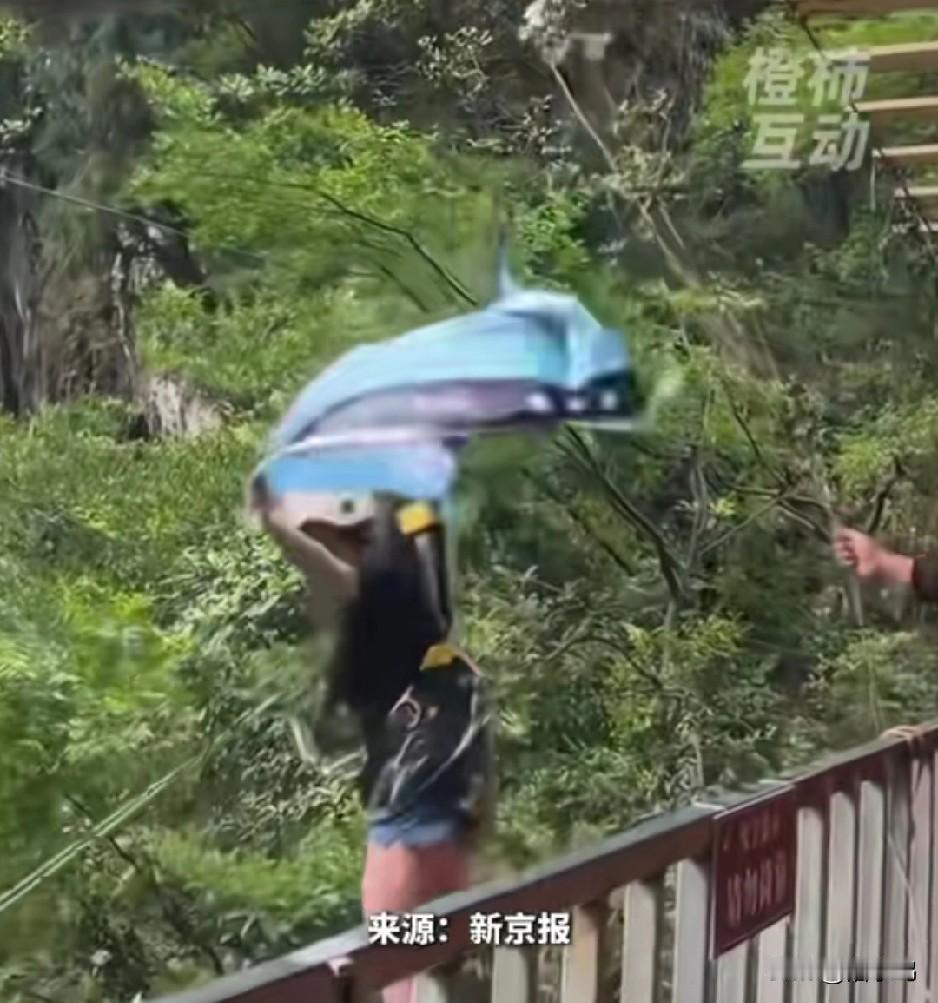 她喊了三声绳子没绑紧，可惜没人及时把她拉回来，就这样荡出去了，真的太心痛了。