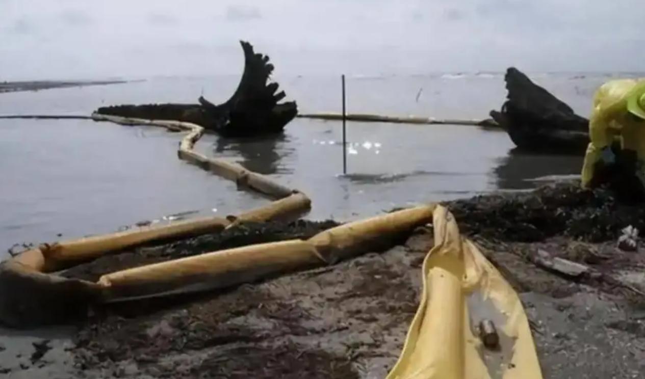 当初日本把核污水往海里倒，全球骂声一片，连海鲜都没人碰。可两年过去，不但日本海鲜