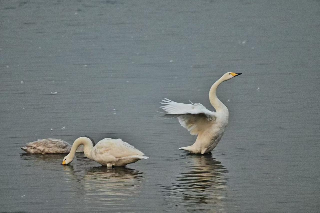 职称高的一定水平高吗?这个真不一定。职称与水平绝对不能划等号。职称的