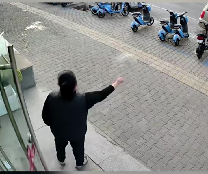 一把米粒撒出大爱！一女店主在店门口撒下一大把米粒，一会儿就引来一大群