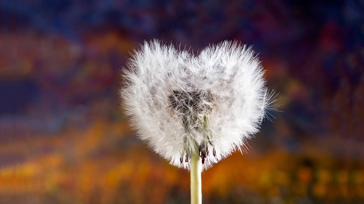 很多时候，男人放不下旧情人，或许是无法释怀那段无疾而终的感情。读者许先生，今年