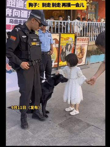 “彻底解释不清楚了”新疆，帽子叔叔带着警犬执勤，一小女孩路过，不禁停下脚步，忍