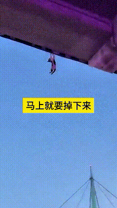 俺看着这小猫扒着棚边拼命挣扎，心一下子都揪紧了，生怕下一秒它就摔下来。眼看小家伙