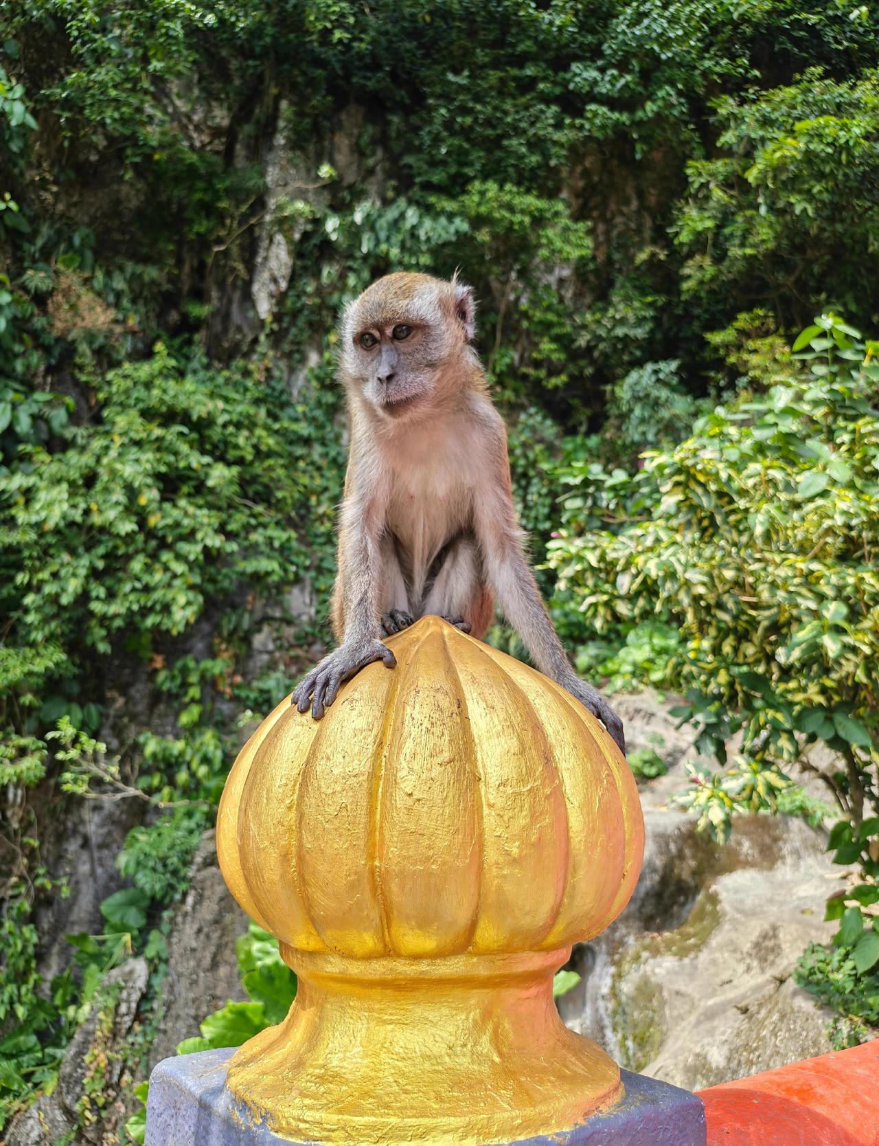 零距离接触野生动物动物随手拍