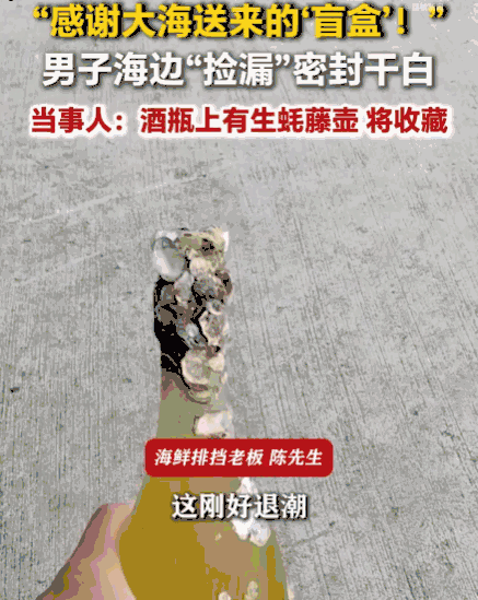 解释不清了！浙江舟山，一男子趁着退潮去海边溜达，一个被海浪冲上岸、长满生蚝和藤壶