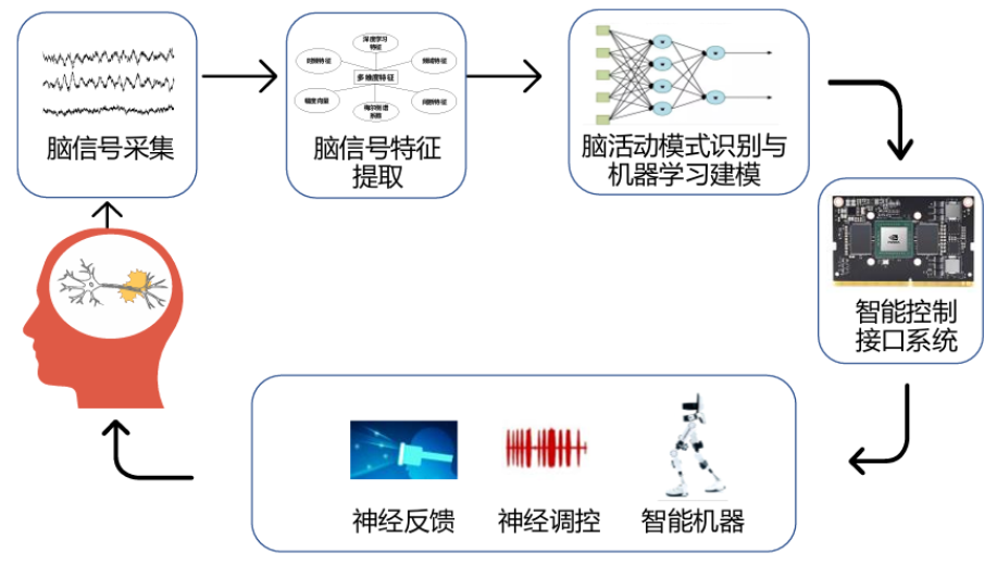 千亿赛道新风口? 脑机智能加速落地, 这些上市公司已抢先布局