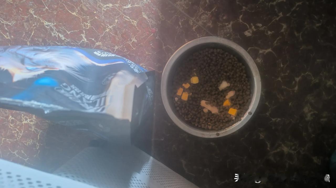 我觉得动物能预感到自己将死。今早家里养了一两年的鸭子又来偷吃猫粮了，我照例要赶