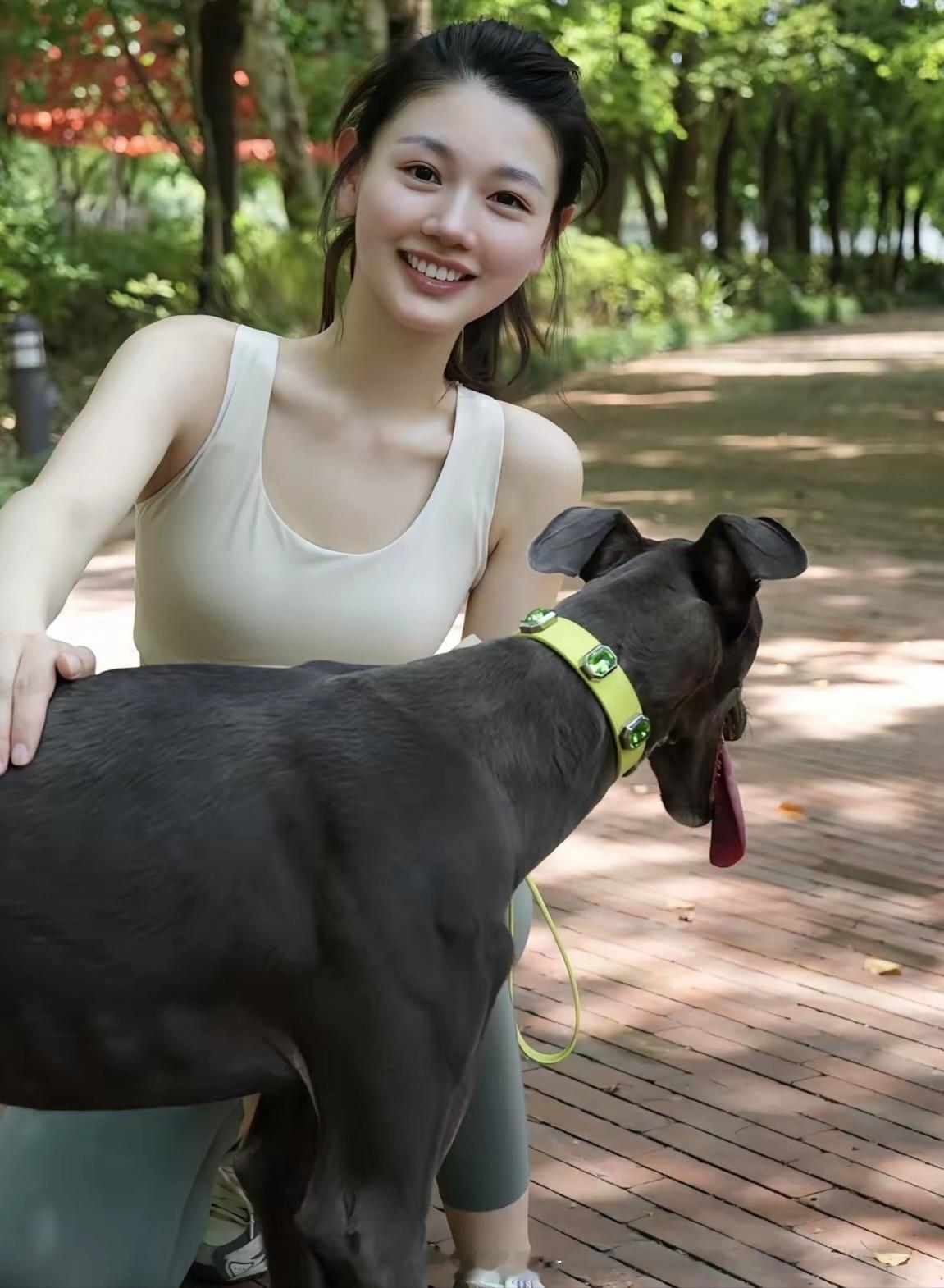 罗湖大望村，周末露营的小姐姐。手里这条德国威玛犬，据说能换台车。