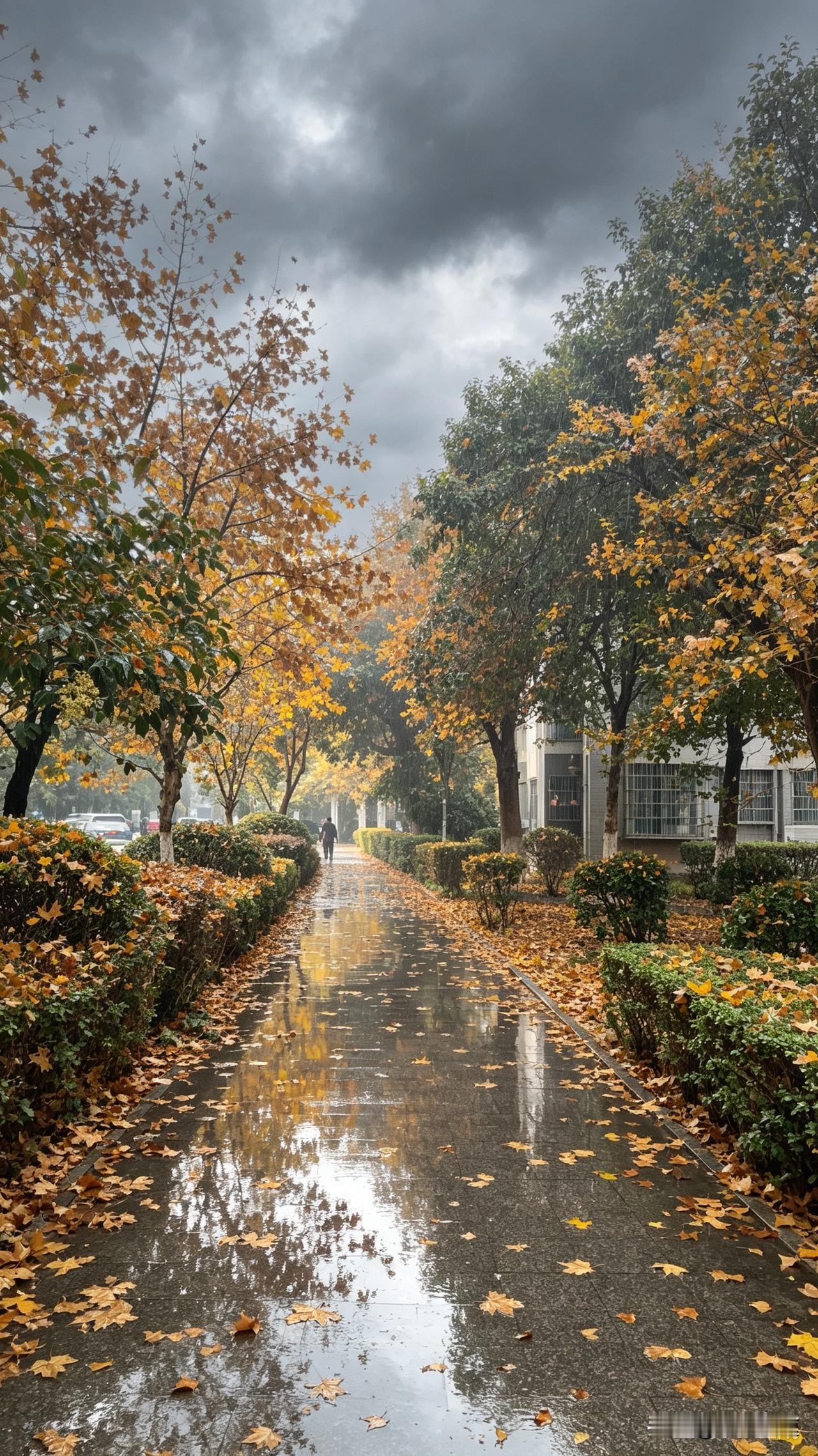中秋假期南京连下三天大雨，我拖着24寸行李箱在新街口地铁站里踩了三滩积水，裤脚全