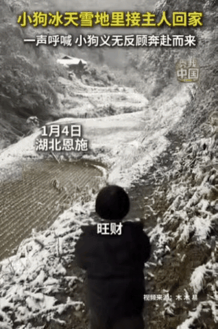 这就是养狗的意义！湖北一女子带女儿回老家，离家还有一段距离时，女子突然大喊