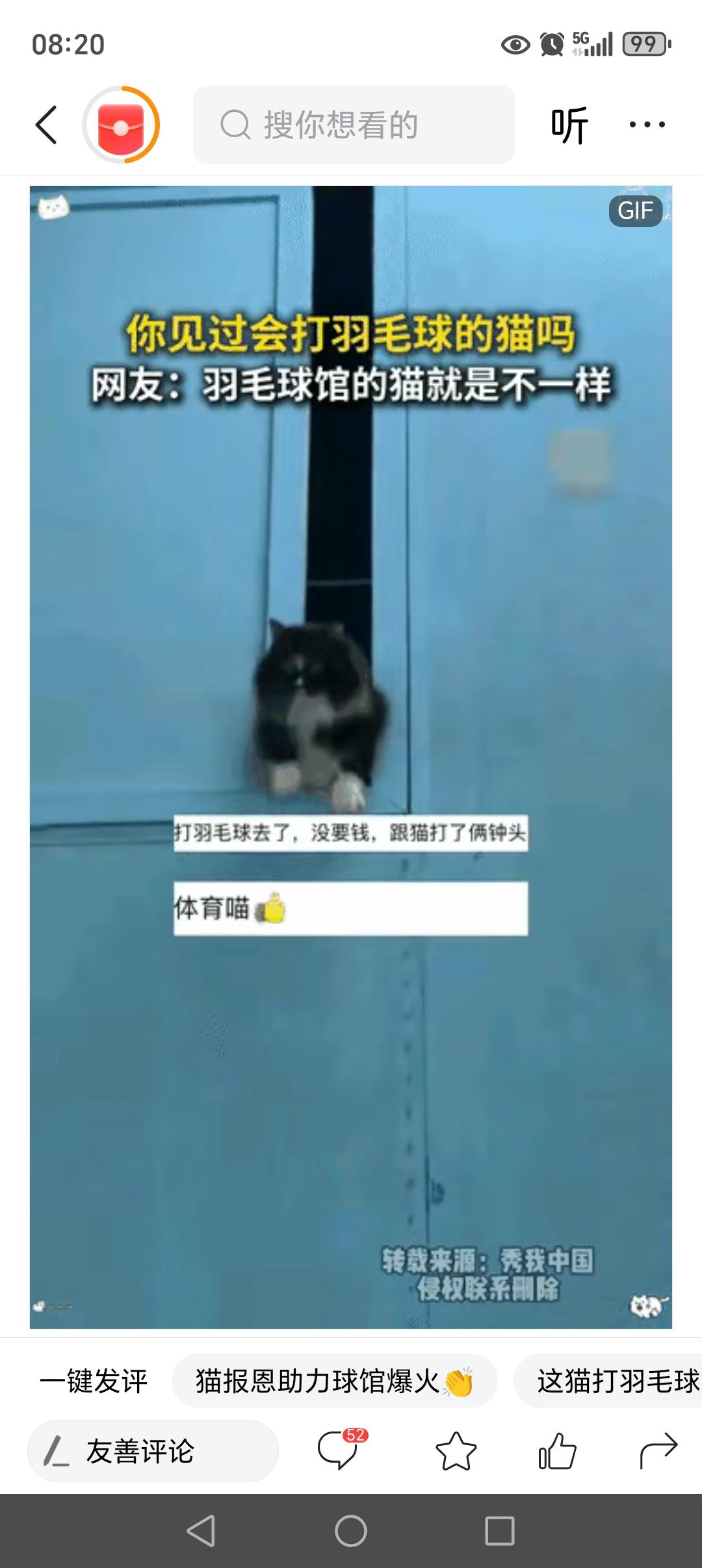 科学没法解释”山东淄博icon,羽毛球馆的老板收养了四五只流浪猫,结果其中一只猫