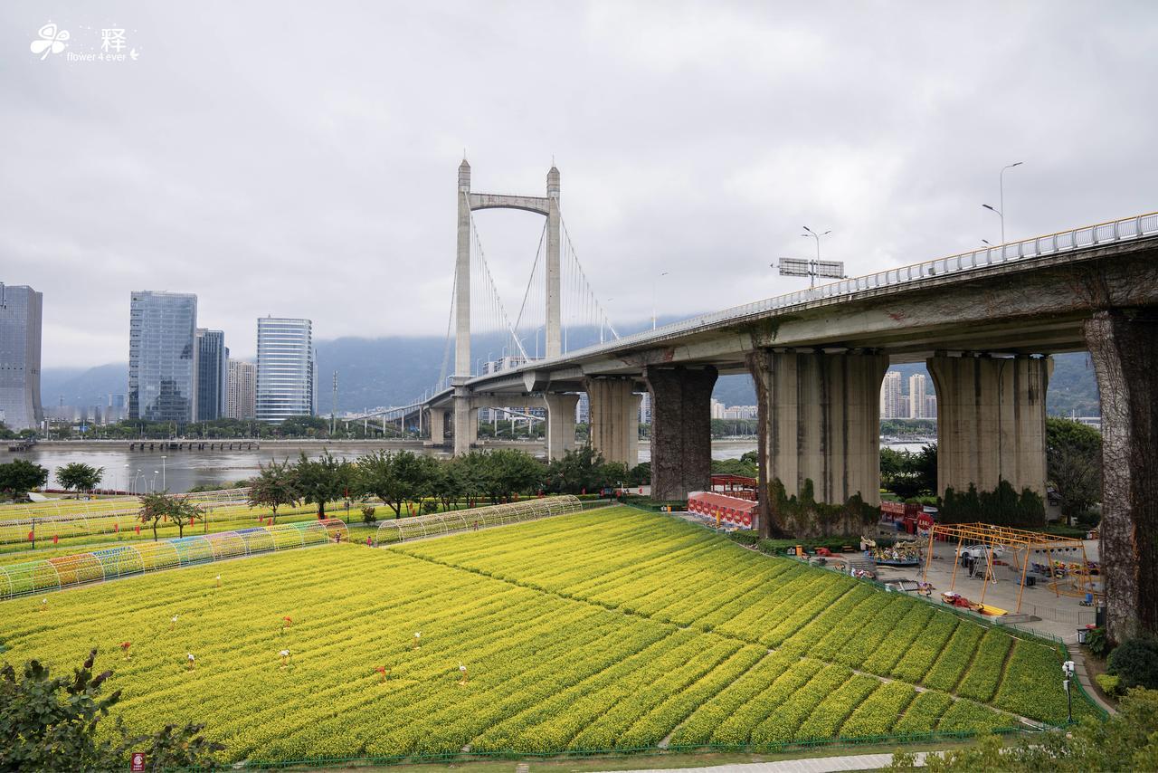 楼市的政策底来了，市场底在哪里？和股市一样，政策底是一个，市场底才是真的底。