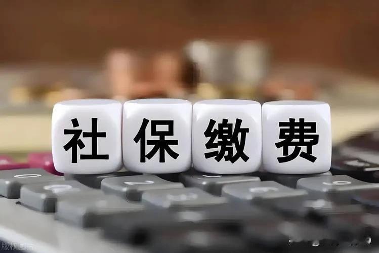社保本身就是一个共济的养老保障体制，多你一个不多少，你一个不少，来去自由。能把参