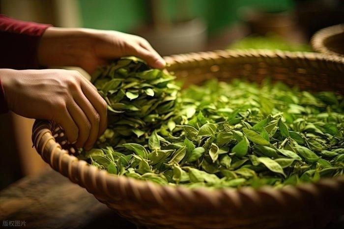 被低估的“淡金色洗液”：一杯清茶，冲刷掉血管里的糖垢·默斋主人原创科普散文导语：