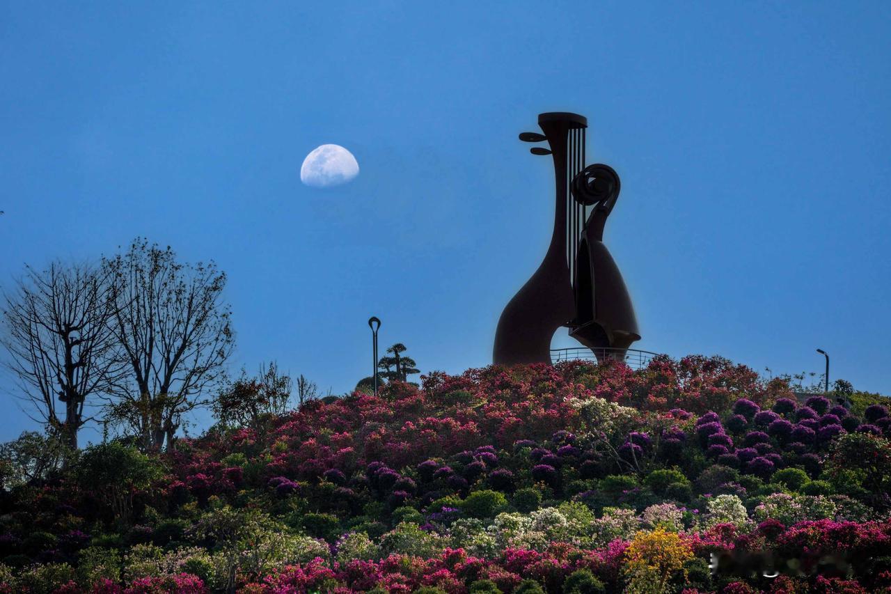 深圳馆园并立、艺景相融的新地标【诗与景】咏坂田艺馆·琴园龙岗国际艺术中心楼顶