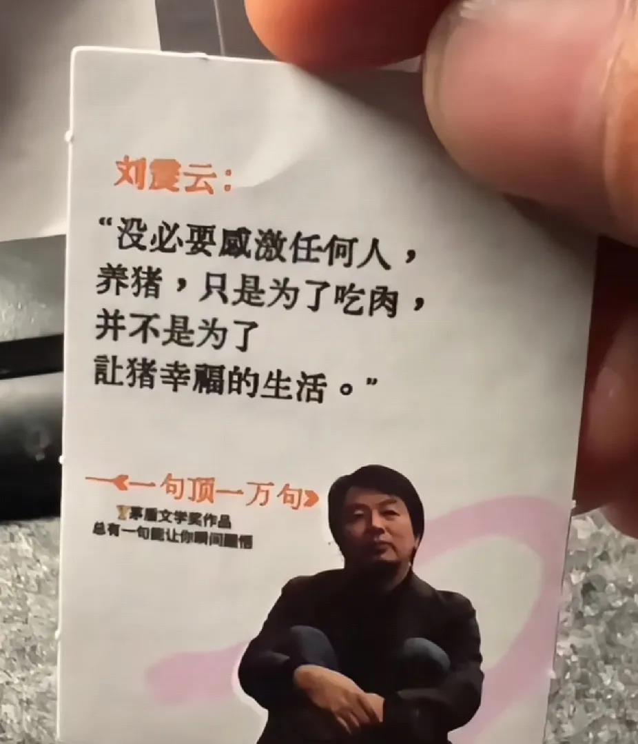 社会学：养猪理论