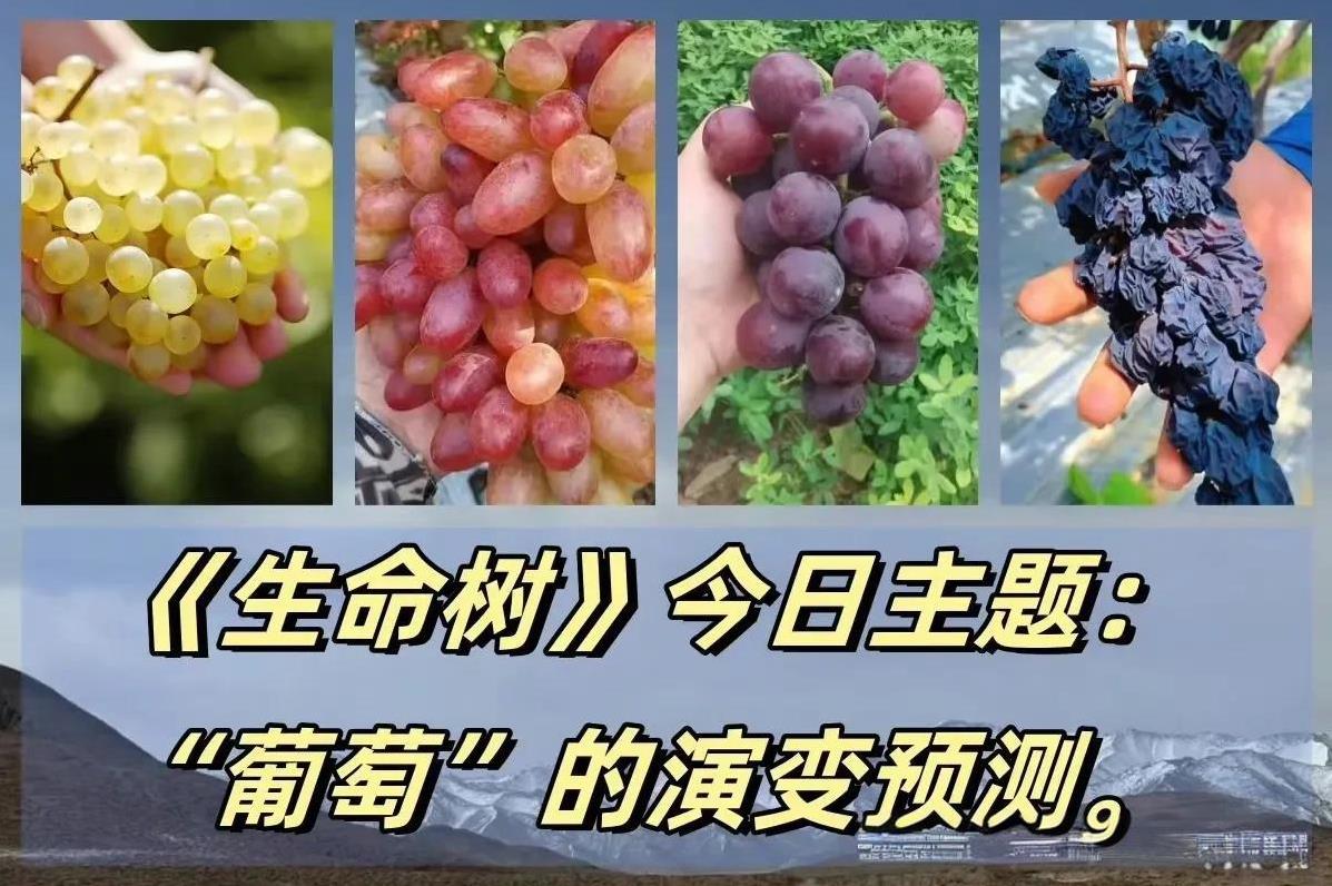 真的是被大家逗笑了啊！你们这样真的好吗？大家看到杨紫在《生命树》开机仪式上面白