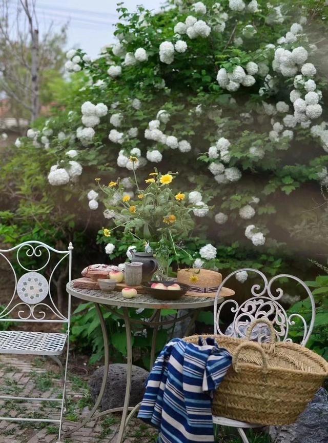 一位退休多年的老人曾说：“不管你信不信，退而不休，代价巨大。过度养生，成死循环。