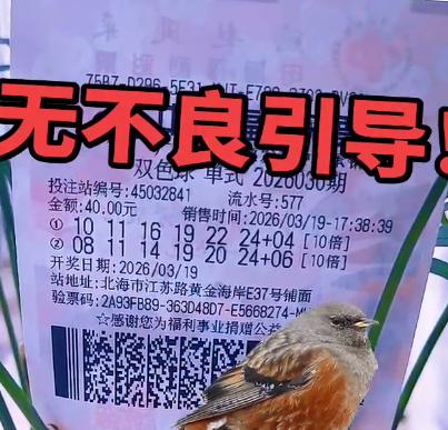 一号之差憾失5000万？彩友晒10倍单挑号中5+1，乍看号码非常精准只差一个红球