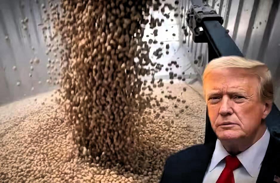 万万没有想到，​中国展现极大合作诚意，大量买美大豆，放宽稀土供应，却换来了美国