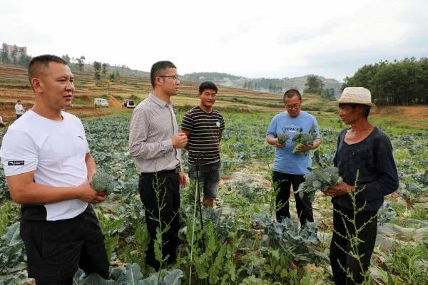 在全网都在热炒为老农民计发养老金的一片叫喊声中，我发现一些地方的农民已经在筹划自